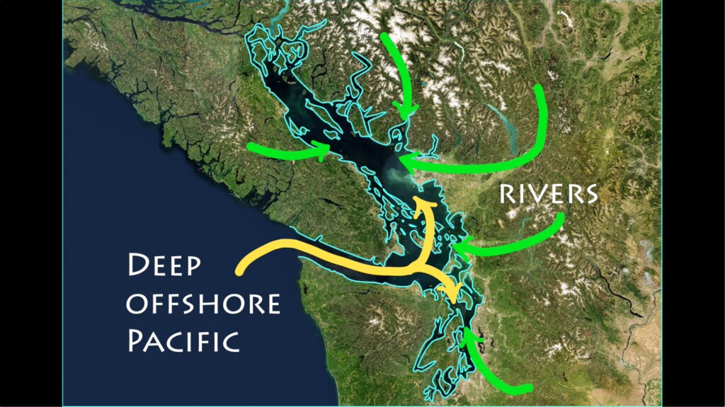 Map of ocean to river flows